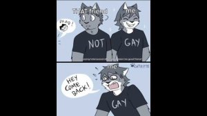 r/FurryIRL memes that made the boykisser dance.