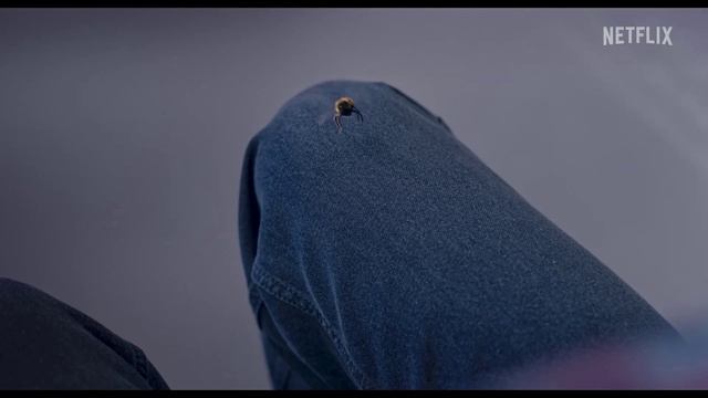 Трейлер. Человек проoooтив пчеeeeлы (2022) смотреть онлайн