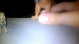 Моя коллекция диких кошек 1 часть + 1 новинка Напишите Как назвать