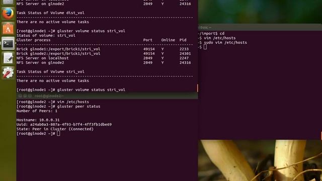 Gluster volume create viedo смотреть онлайн
