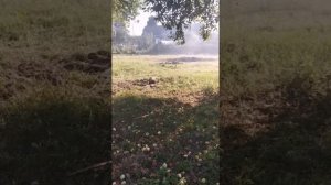 Купили заброшенный участок в деревне. Наводим порядок