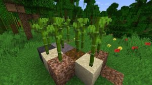 How To Get BAMBOO BLOCKS In MINECRAFT