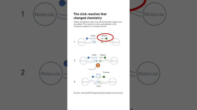 Click Chemistry & Bioorthogonal Chemistry || Nobel Prize 2022