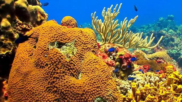 OCEANIC RELAXATION, DEEP SLEEP, RELAXING VIDEO, RELAXING, RELAX, RELAXING MUSIC