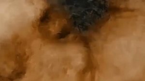 НЕ  БРОСАЙ  ЕЁ