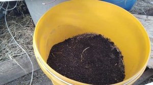 БИОГУМУС и КОМПОСТ в чер разница // Карамель не будет шоколадом )) // С.Х.У