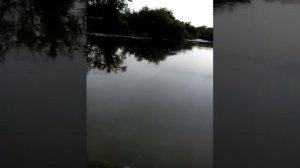 Прогулка на лодке фрегат м3 с мотором Sea Pro T2,5