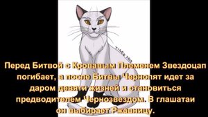История Чернозвезда. (По просьбе: "Просто Шедди..)