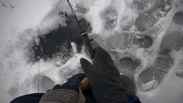 Ловлю ротанов. Рыбалка радует. Зимняя ловля ротана. смотреть онлайн