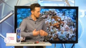 Александр Завгородний. Коралловая Вода Coral Club на 5 ом канале