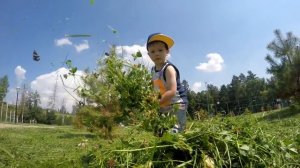 радуйтесь люди зеленой траве