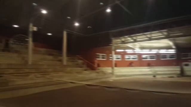 Bat Bot - роботизированная летучая мышь смотреть онлайн