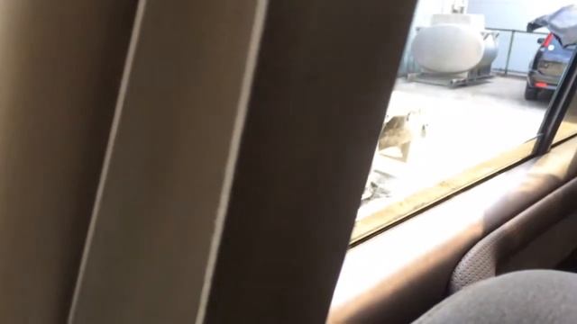 В разбор Toyota Land Cruiser UZJ100 2UZ-FE 1998 г.в. (донор 1037) смотреть онлайн