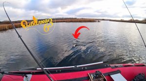 Щуки столько что я ее просто багрю, Куда ушла щука?