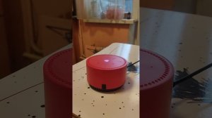 Яндекс станция лайт чили есть ли разница в характерах