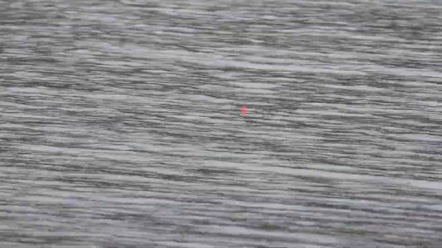 Мастер класс по ловле карася матчевым удилищем!!! смотреть онлайн