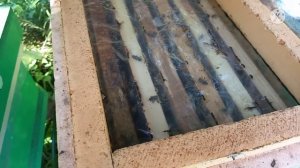 Вся правда о работе шестирамочников из пеноплекса. 3 года эксплуатации.