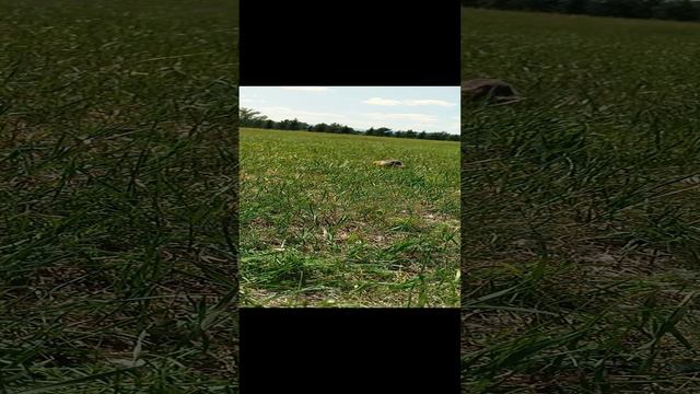 1000011445.mp4