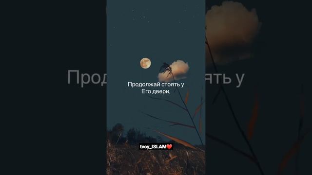 Потерпи, и терпение твоё только от Аллаха.(16:127)