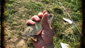 РЫБАЛКА УХА ОТДЫХ.ЛОВЛЯ КАРАСЯ осенью на поплавок