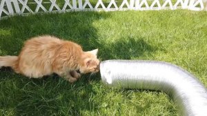 ВНУТРИ SCP ГОРКИ ПОЖИРАТЕЛЯ! БУЗЯ раскрыла ЖУТКИЙ СЕКРЕТ!