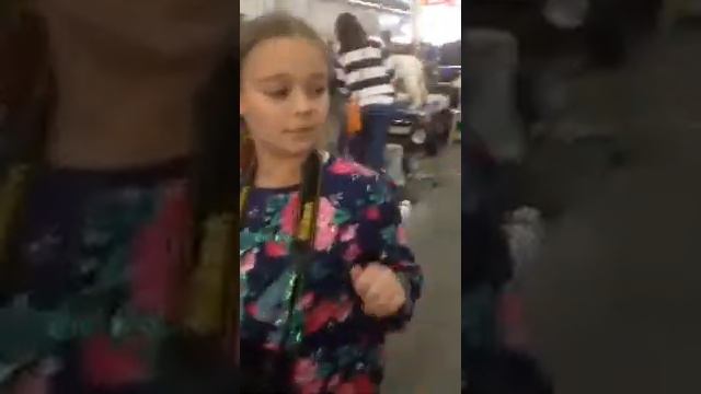 Интернациональная выставка собак Россия 2017! смотреть онлайн