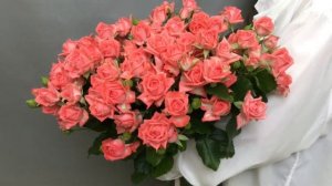 Кустовая роза "Барбадос"