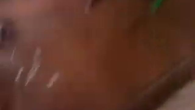 расскажу как ухаживать за хомяками .