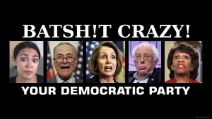 THOSE CRAZY DEMOCRATS ЭТИ СУМАСШЕДШИЕ ДЕМОКРАТЫ