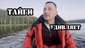 Рыбалка на тайги удивляет