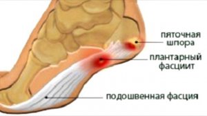 Почему ушиб пальца ноги так болезнен.