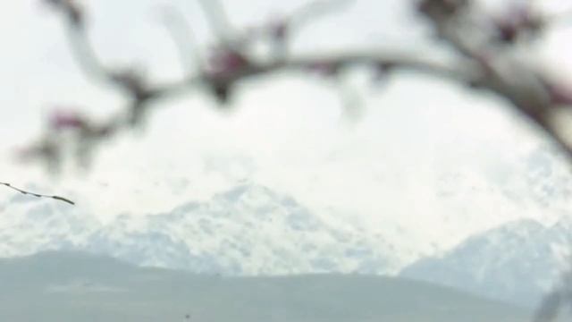 Навруз, Весна - бахор . Пробуждение весны, праздник навруз, Tajikistan смотреть онлайн