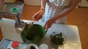 Спорыш рецепты