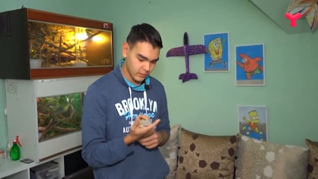 СТРАННЫЕ И РЕДКИЕ - «Утро с Вами» 08.11.2019 смотреть онлайн