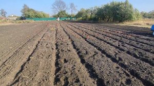 Чем отличается чернозем?