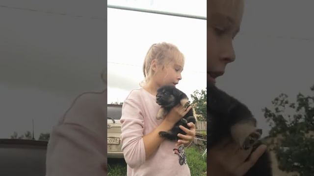 Родились щенки!!! Кому нужен щенок?