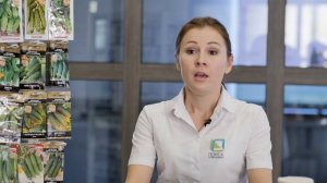 Как правильно выбрать семена огурца?