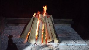 Косуля в казане!