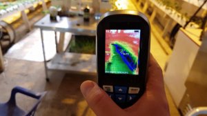 // ЧЕМ ПОЛИВАЮ СЕГОДНЯ И РАЗНИЦА ТЕМПЕРАТУР ВЕРХНЕГО И НИЖНЕГО ЯРУСА //