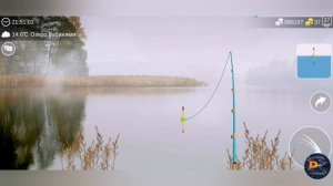 Угорь▶My fishing world▶ мой рыболовный мир▶где и на что ловить угря