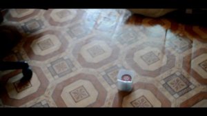 Аквафумигатор Раптор-деньги на ветер! Обзор и отзыв. Травим таракан и клопов