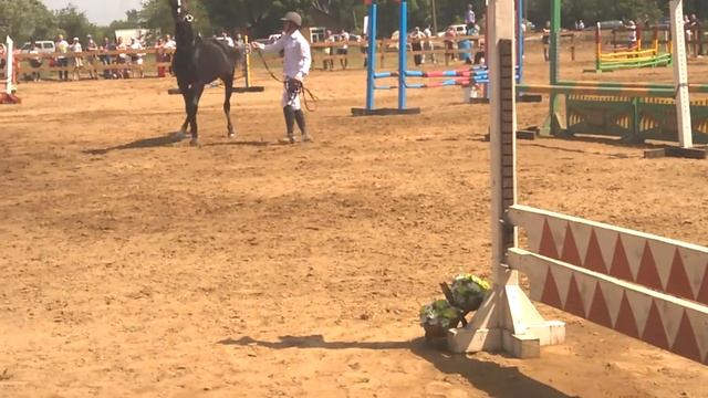 Тракененская порода смотреть онлайн