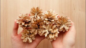 Отбеливание сосновых шишек