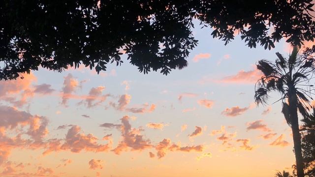 Healing with the frequency of Goddess Aphrodite?❤️?#aphrodite #divinelove #healing #healingmusic смотреть онлайн