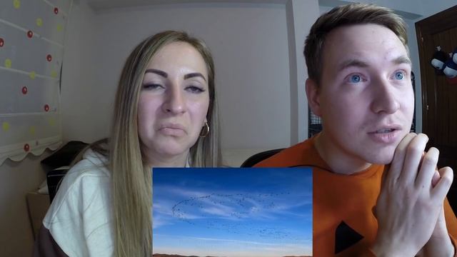 ??RUSOS REACCIONAN a MÉXICO MEGADIVERSO ??? | Russians react to México смотреть онлайн