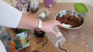 Фитильный полив орхидей. Пересадка. Результаты