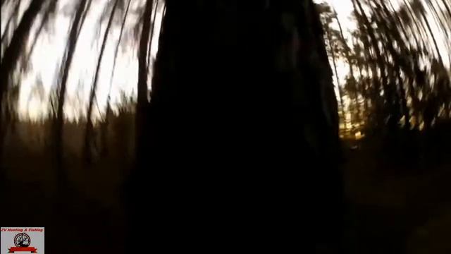 ОБ ОСЕНИ МЕЧТАЮ С ВЕСНЫ !!! смотреть онлайн