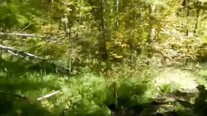 Пропавшая экспедиция Черное плесо