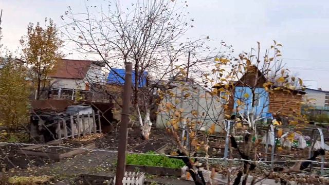 Обзор дачи в середине октября смотреть онлайн