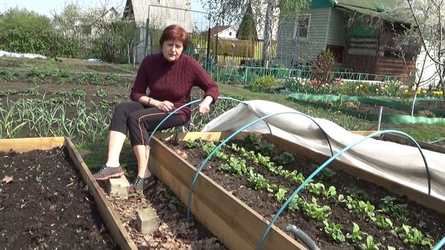 Картофель БЕЛЛАРОЗА. Уже ждём урожай! смотреть онлайн